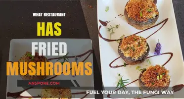 Crispy Fried Mushrooms: Where to Find This Delicious Treat