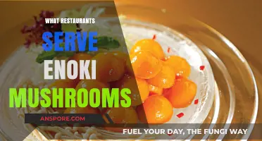 Where to Find Enoki Mushrooms on the Menu