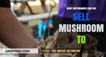 Where to Sell Your Mushrooms: A Guide for Foragers and Farmers