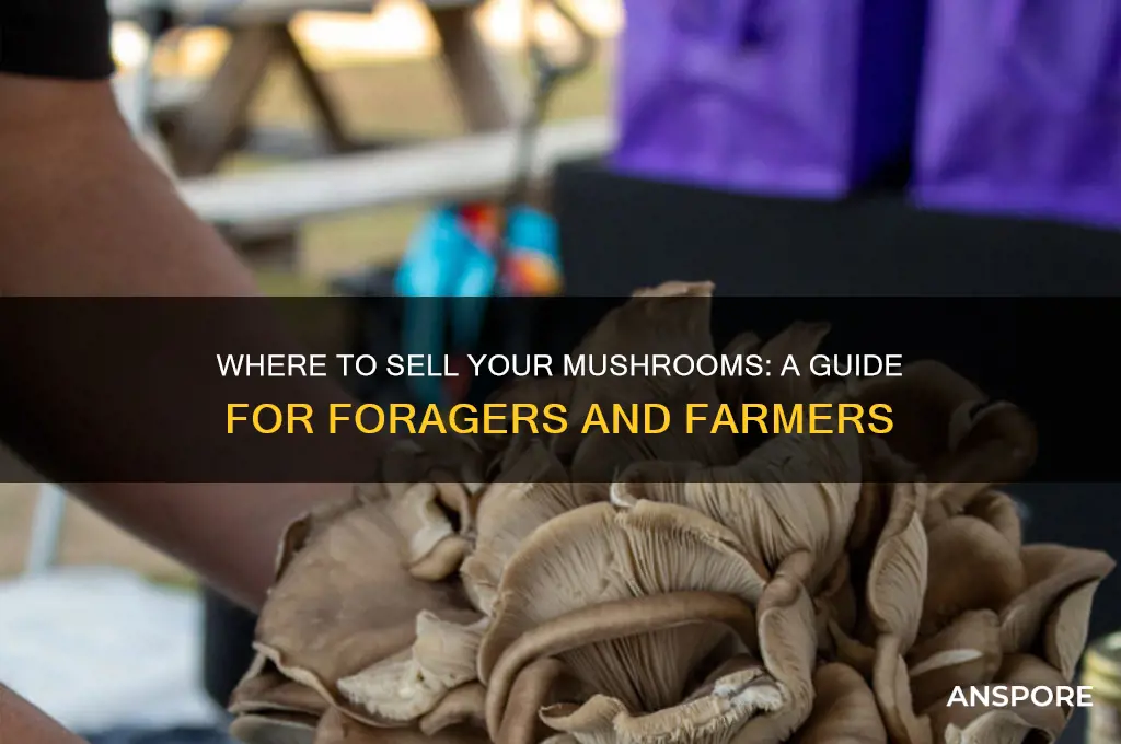 what resturaunts can you sell mushrooms to