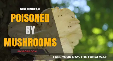 The Roman Emperor Claudius: A Fatal Mushroom Poisoning Mystery