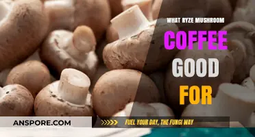 Ryze Mushroom Coffee Benefits: Boost Energy, Focus, and Immunity Naturally