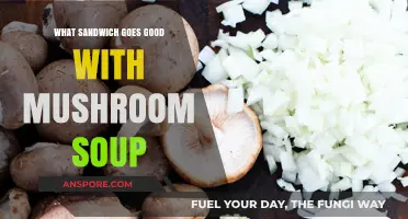 Perfect Pairings: Best Sandwiches to Complement Creamy Mushroom Soup