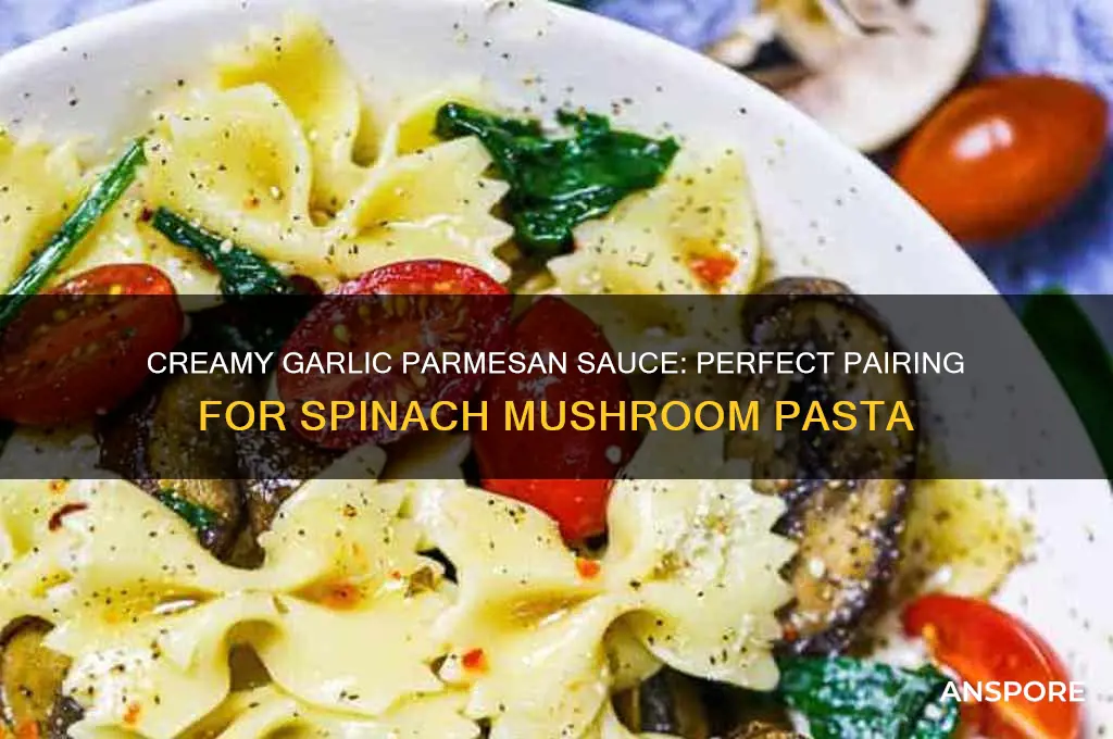 what sauce to make with spinach and mushroom pasta