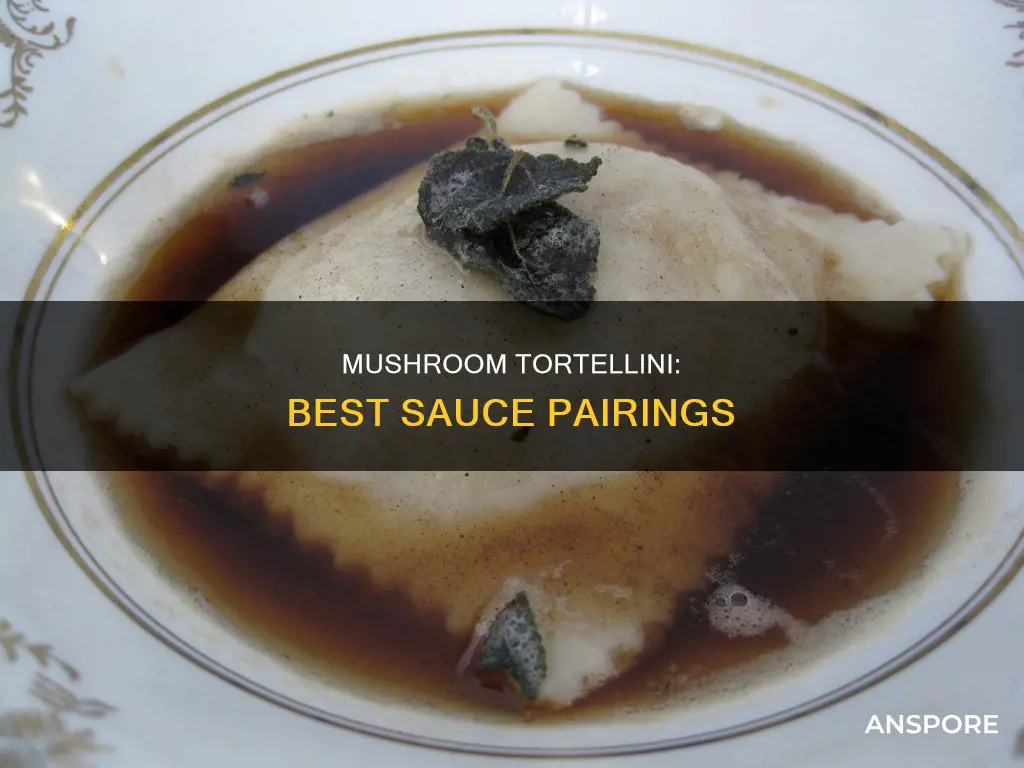 what sauce with mushroom tortellini