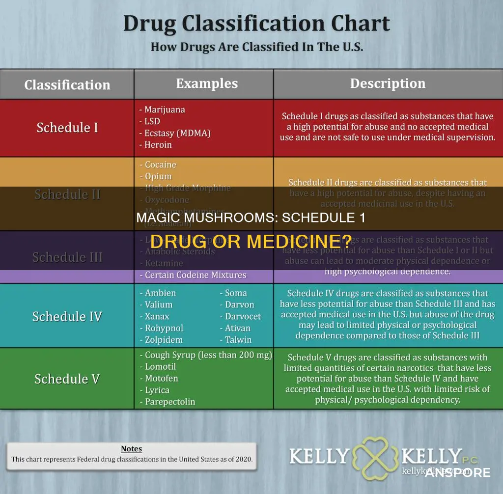 what schedule drug are mushrooms