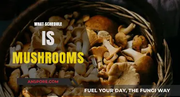 Mushrooms: A Natural Psychedelic Schedule