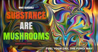 Magic Mushrooms: Schedule I Substance Explained