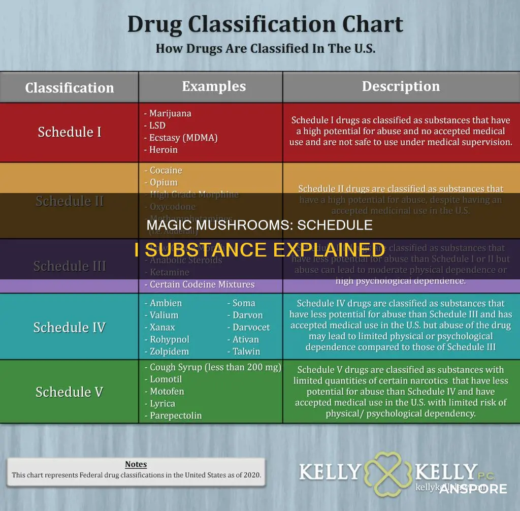what schedule substance are mushrooms