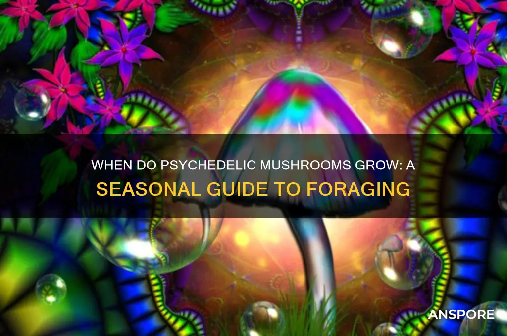 what season do psychedelic mushrooms grow