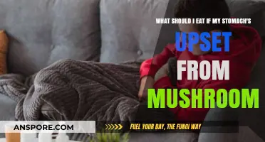 Soothing Foods to Ease Stomach Upset After Eating Mushrooms