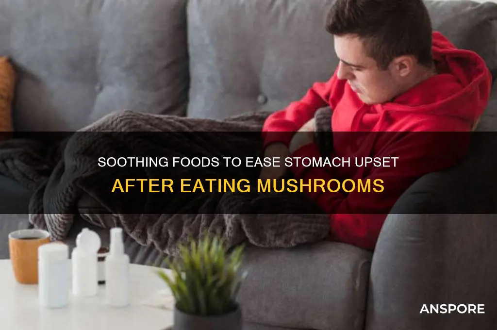 what should i eat if my stomach