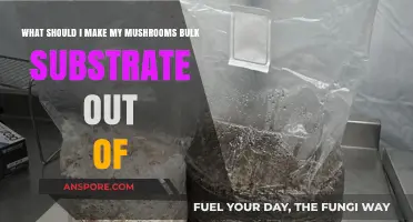 Best Mushroom Bulk Substrate Materials: Top Choices for Successful Cultivation