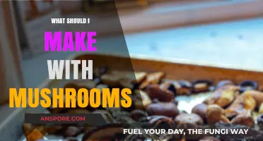 Delicious Mushroom Recipes: Creative Ideas for Your Next Culinary Adventure