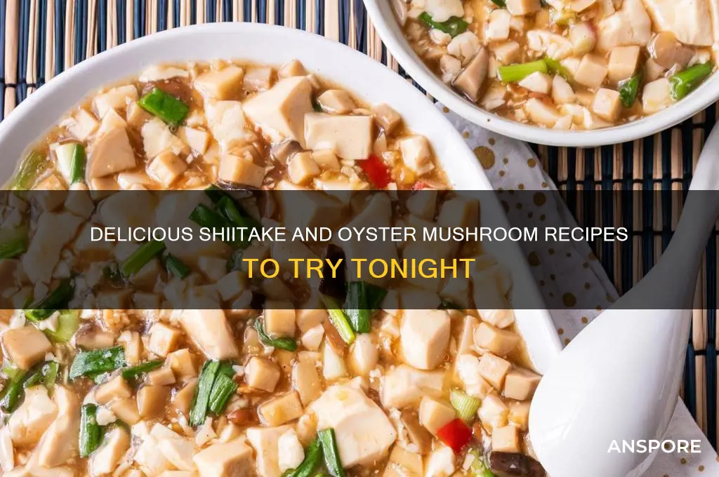 what should i make with shitake and oyster mushrooms recipe