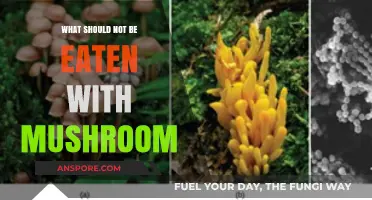 Avoid These Foods: What Not to Pair with Mushrooms for Safety