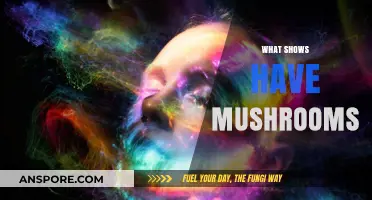 Mushrooms on Screen: TV Shows Featuring Fungi