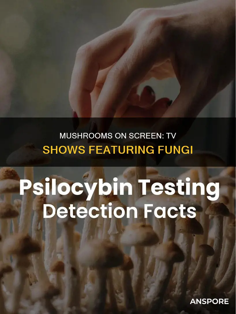 what shows have mushrooms