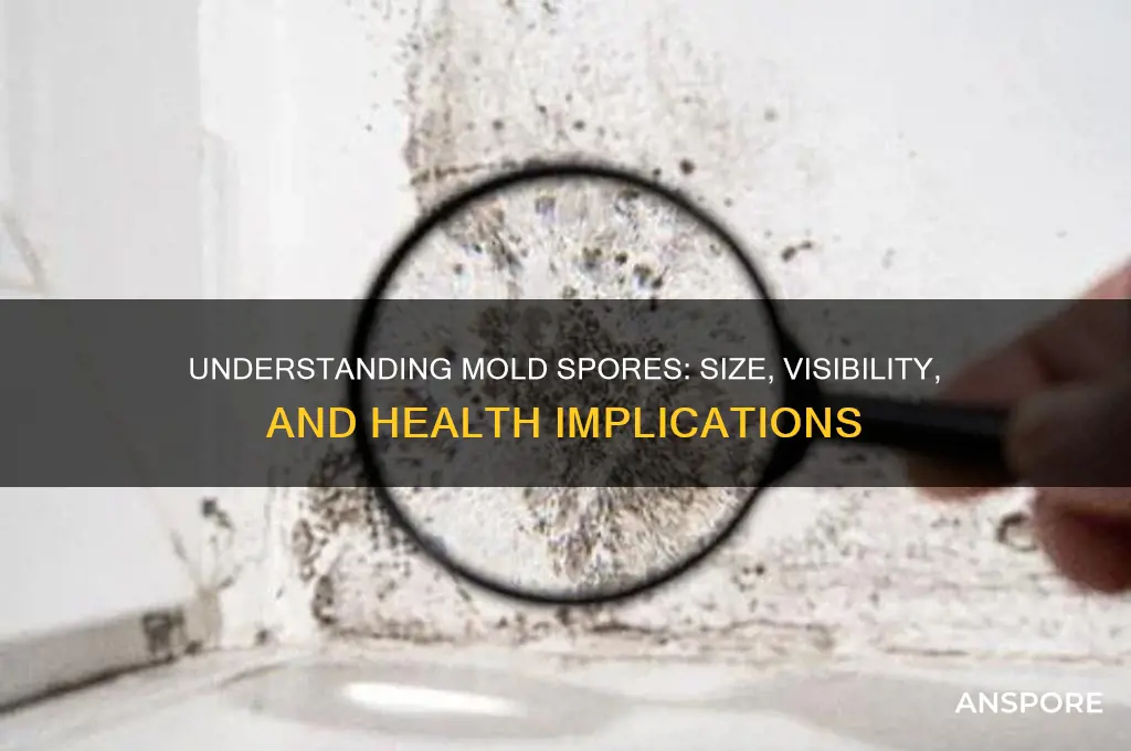 what size are mold spores
