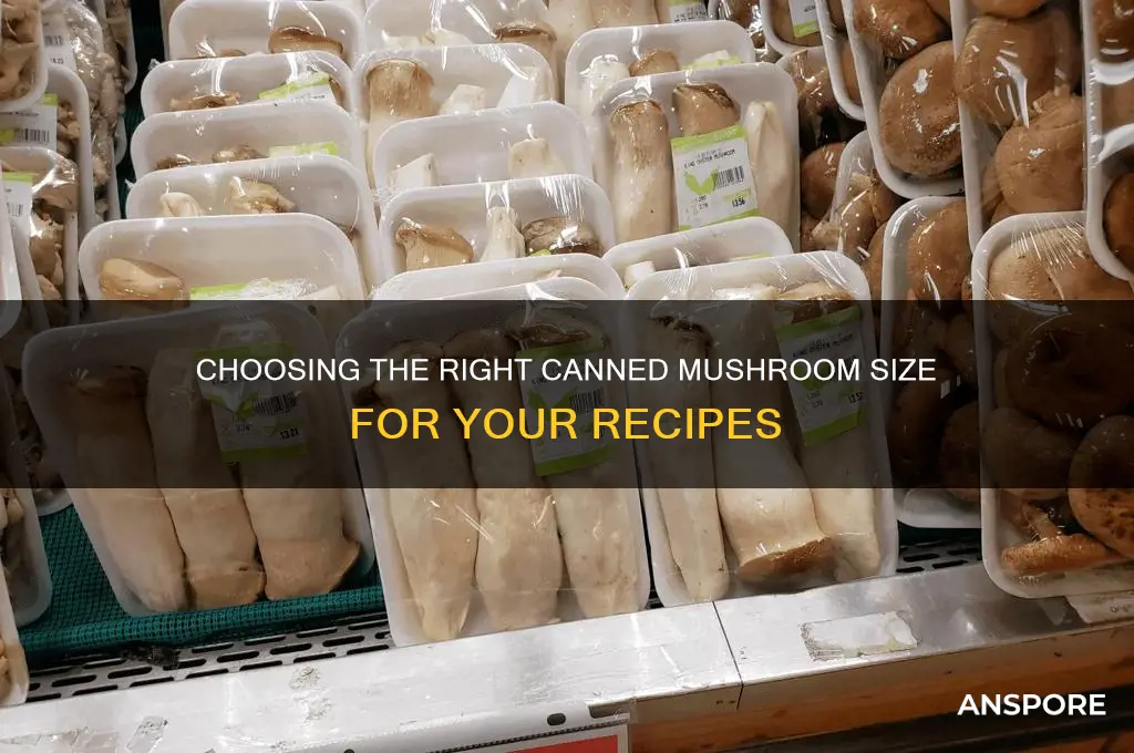 what size canned mushrooms