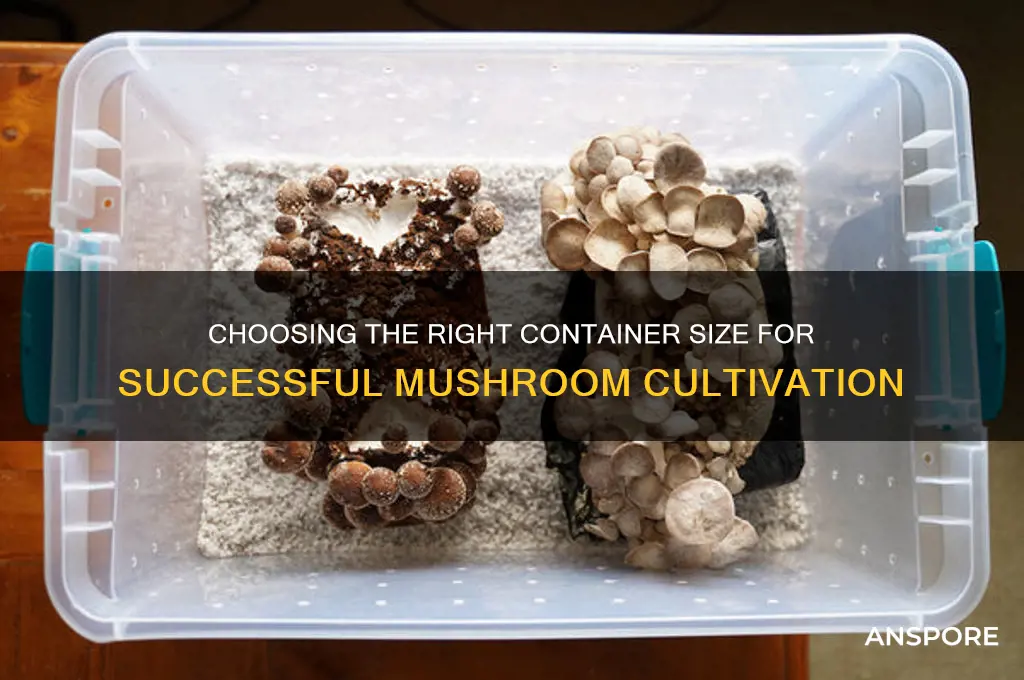 what size container to growing mushroom