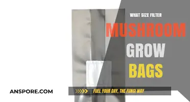 Choosing the Right Filter Size for Mushroom Grow Bags: A Guide