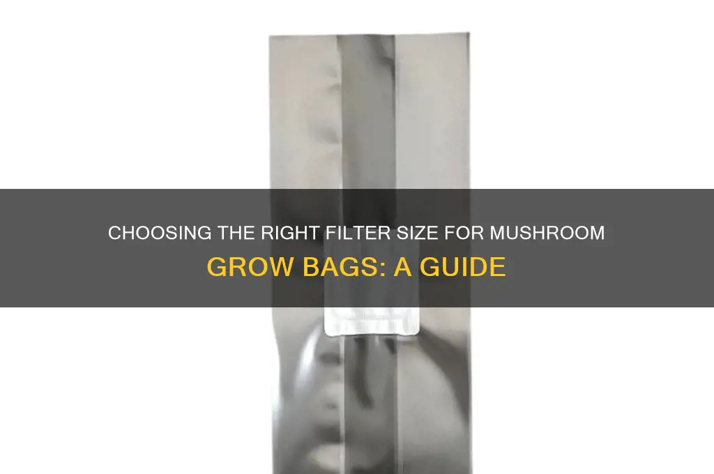 what size filter mushroom grow bags