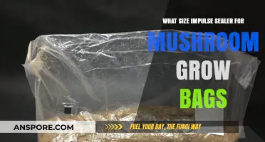 Choosing the Right Impulse Sealer Size for Mushroom Grow Bags