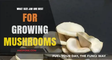 Best Jar Sizes for Optimal Mushroom Growth: A Comprehensive Guide