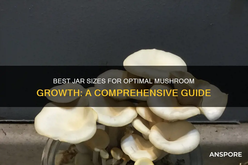 what size jar are best for growing mushrooms