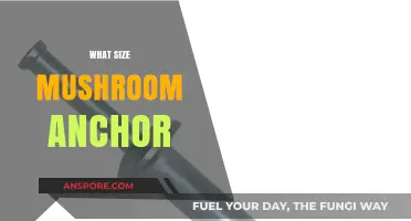 Selecting the Right Mushroom Anchor Size for Your Boat