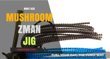 Selecting the Right Zman Jig Size for Mushroom Hunting