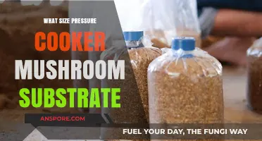Perfect Pressure Cooker Size for Mushroom Substrate Preparation Guide