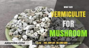 Vermiculite Size for Mushrooms: What's the Sweet Spot?