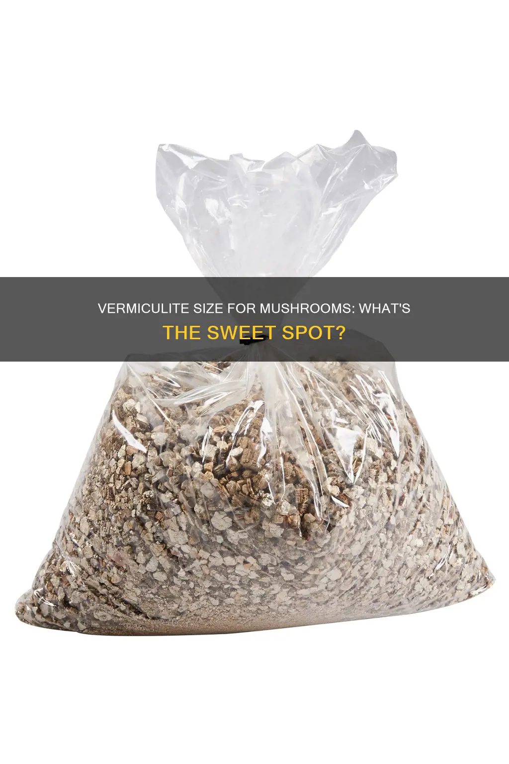 what size vermiculite for mushrooms