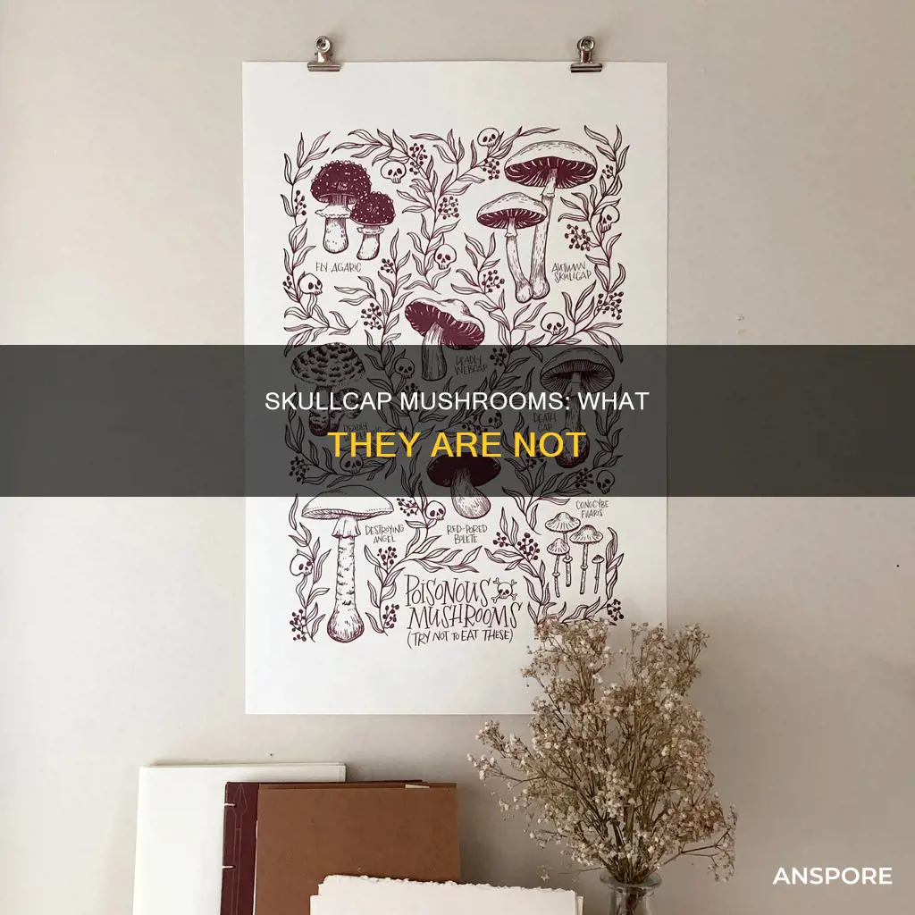 what skullcap mushrooms arent