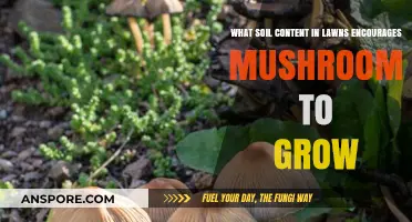 Soil Secrets: Uncovering Lawn Conditions That Foster Mushroom Growth