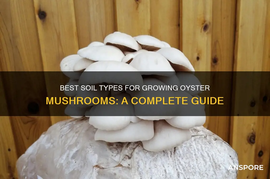 what soil is good for growing oyster mushrooms