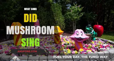 Explore the Musical Journey of Mushroom's Greatest Hits