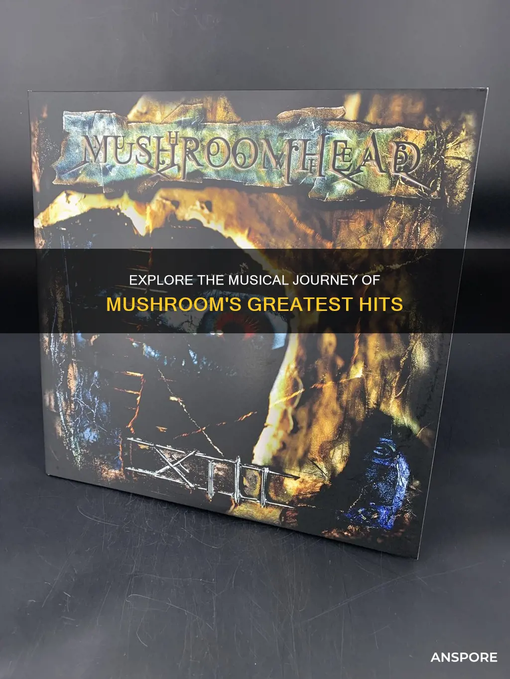 what song did mushroom sing