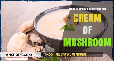 Cream of Mushroom Substitute: Best Soup Alternatives for Your Recipes