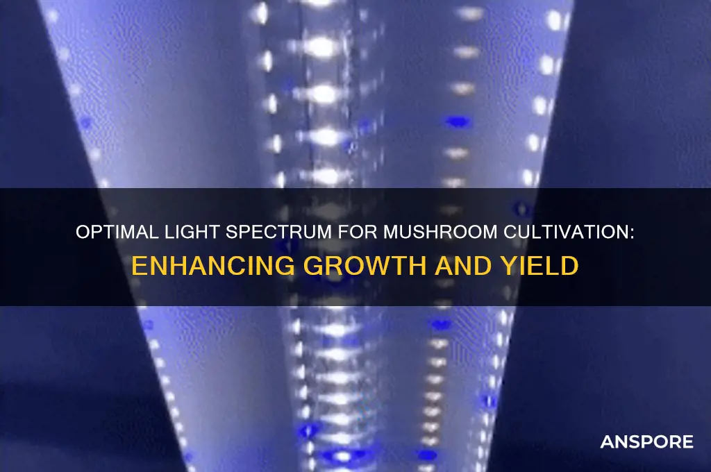 what spectrum light for growing mushrooms