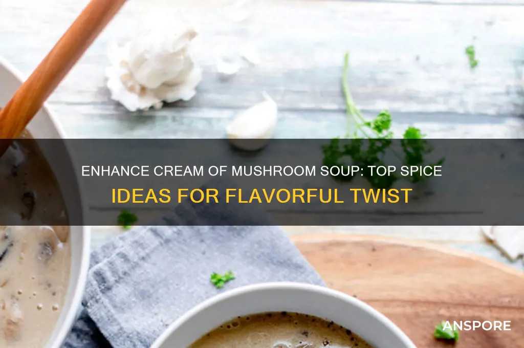 what spice can you put on cream of mushroom soup