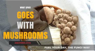 Mushroom Magic: Spices to Enhance Your Dish