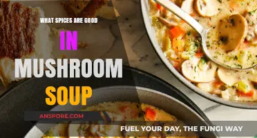 Enhance Your Mushroom Soup with These Flavorful Spices