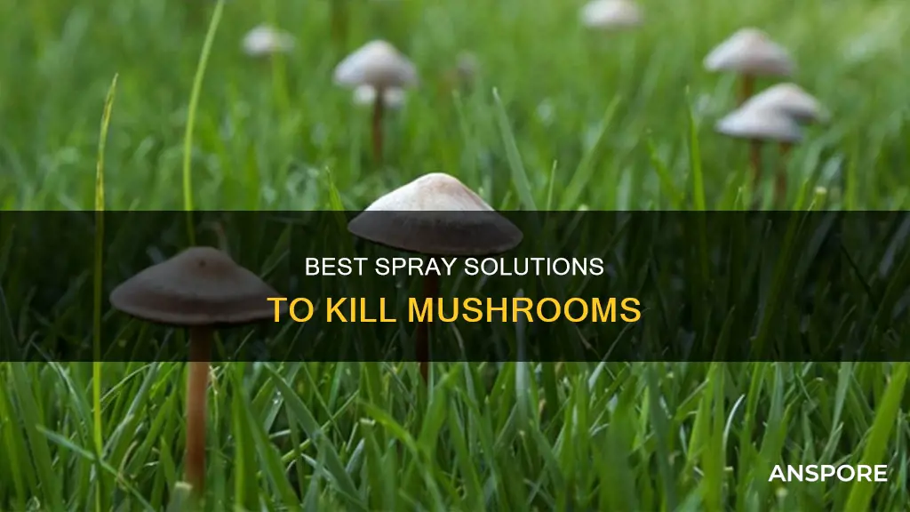 what spray kills mushrooms