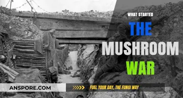 The Mushroom War's Origins: A Historical Perspective