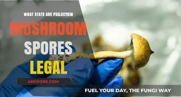 Legal Psilocybin Mushroom Spores: Which States Allow Their Possession?