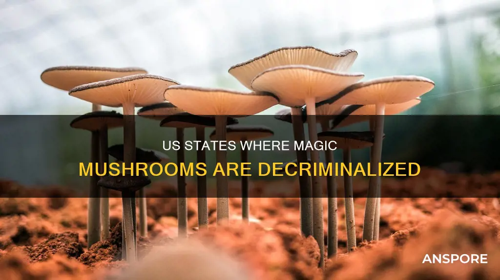 what state decriminalize mushrooms
