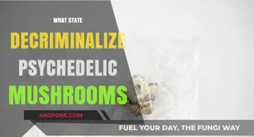 US States Leading the Way in Decriminalizing Psychedelic Mushrooms